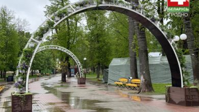 Цветочные арки с Советской