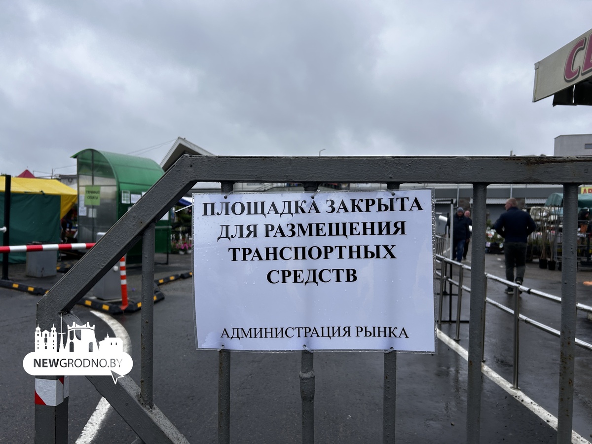 В Гродно вместо парковки вырос