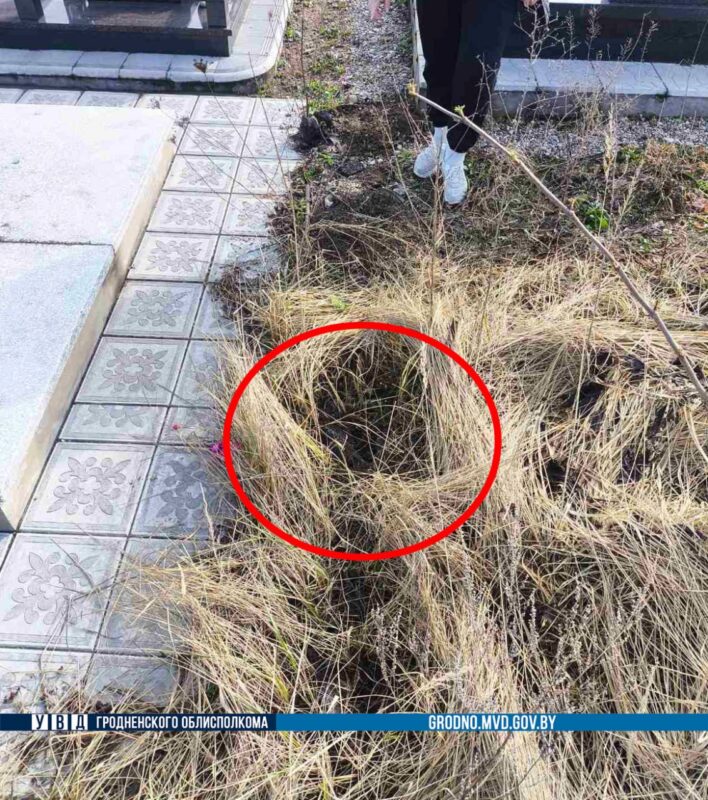 в Гродно