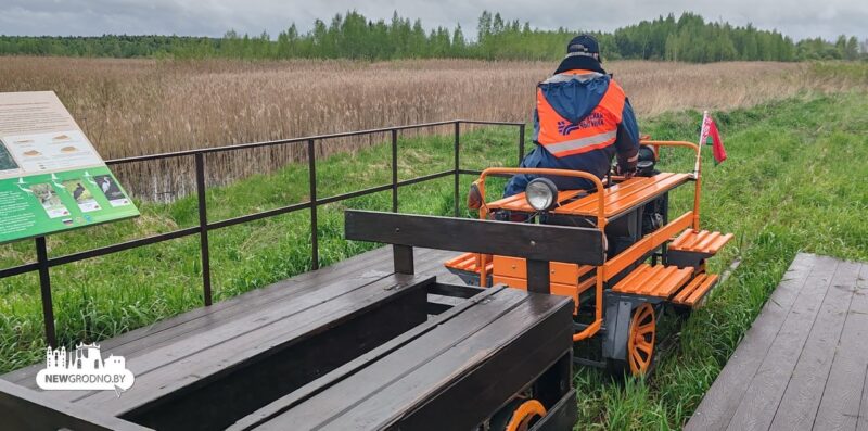 Легендарная «Пионерка» в заказнике