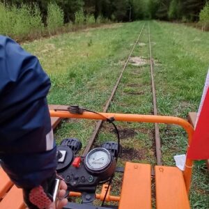 Легендарная «Пионерка» в заказнике