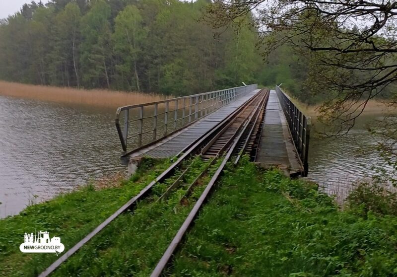 Легендарная «Пионерка» в заказнике