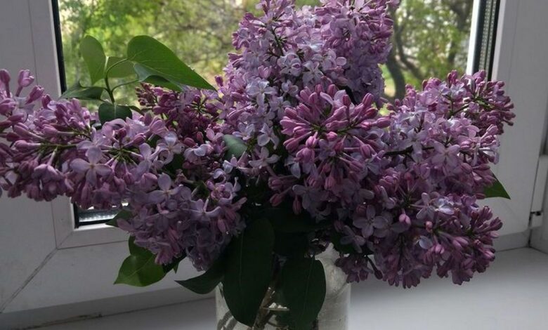 участковый из Гродно