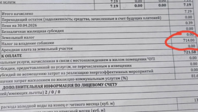 почему жительнице Слонима