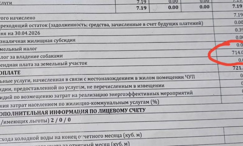 почему жительнице Слонима