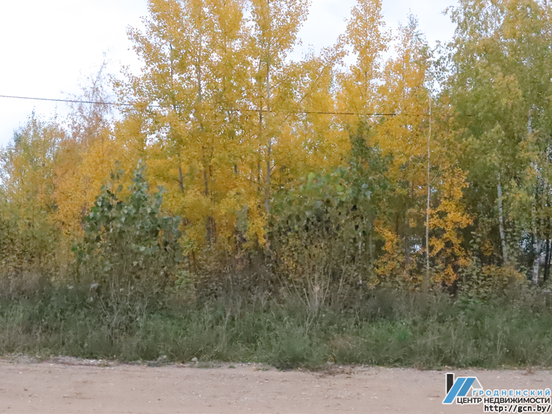 Аукцион в Гродно