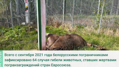 На границе с Литвой