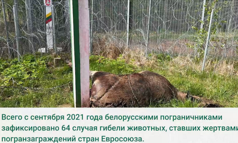 На границе с Литвой