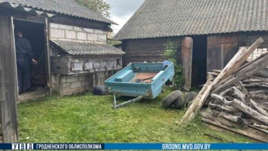 Житель