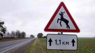 В Беларуси выросло количество