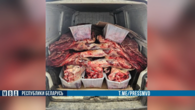Под Сморгонью