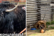 Белорусов возмутило состояние