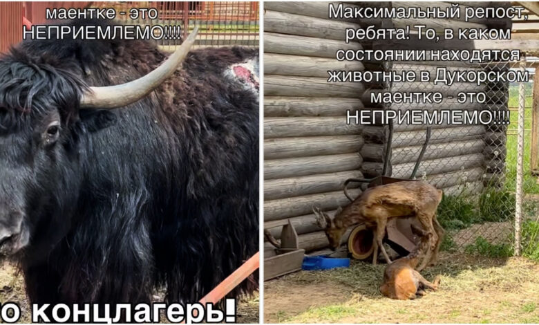 Белорусов возмутило состояние