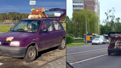 В Гродно сняли очень странную машину