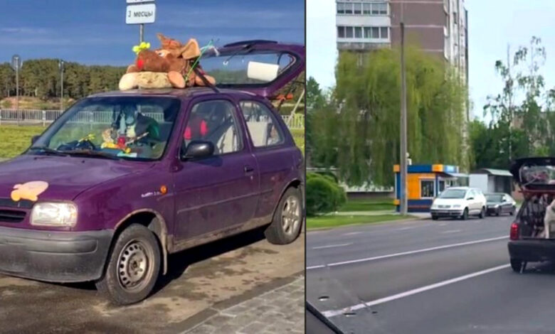 В Гродно сняли очень странную машину