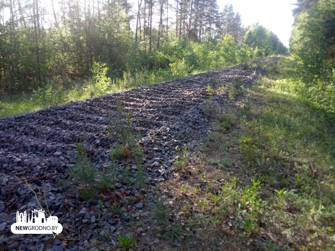 Под Гродно разбирают железнодорожную ветку