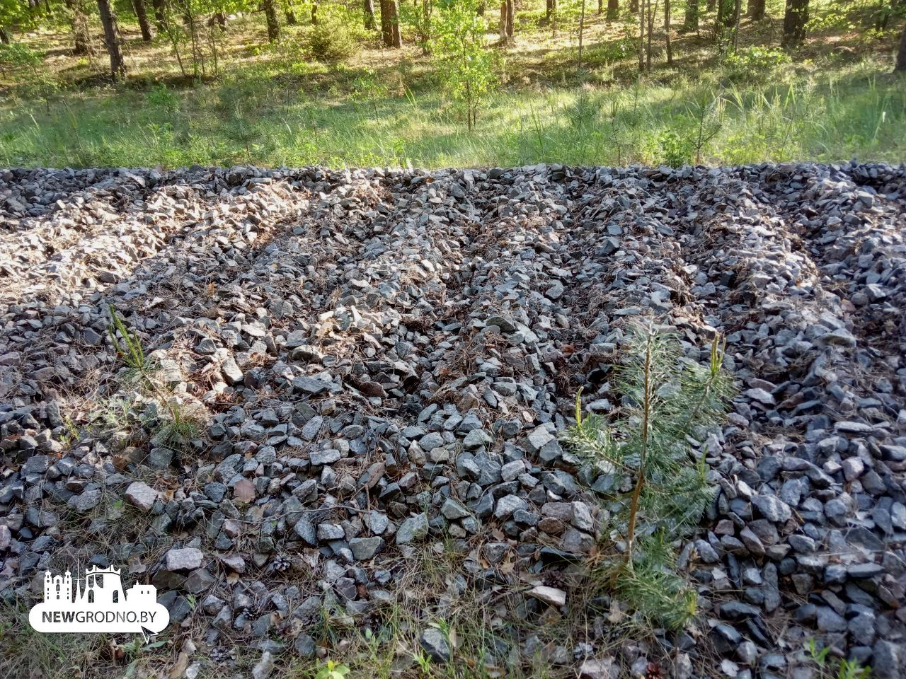 Под Гродно разбирают железнодорожную ветку