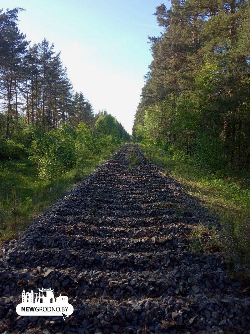Под Гродно разбирают железнодорожную ветку