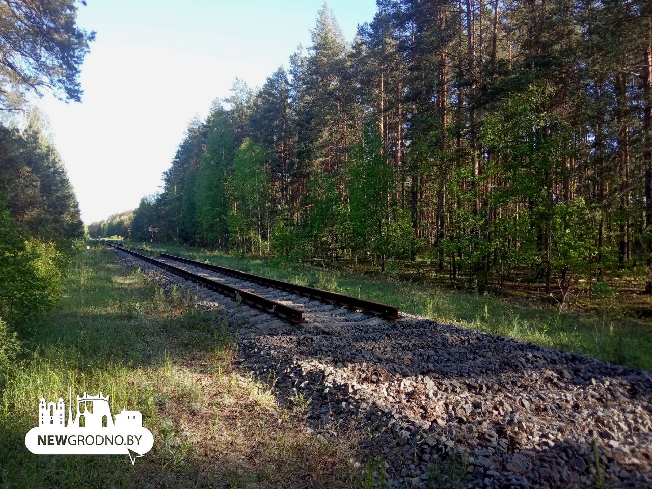 Под Гродно разбирают железнодорожную ветку