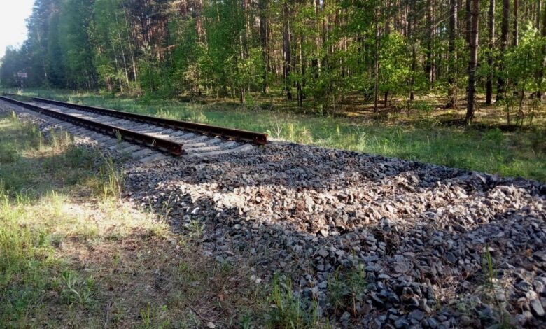Под Гродно разбирают железнодорожную ветку