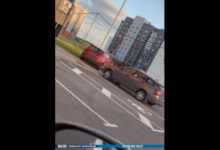 гродненец