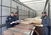 Белорусский водитель задержан