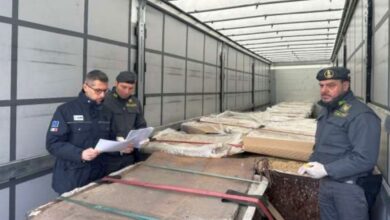 Белорусский водитель задержан