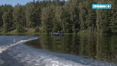 в Гродненской области