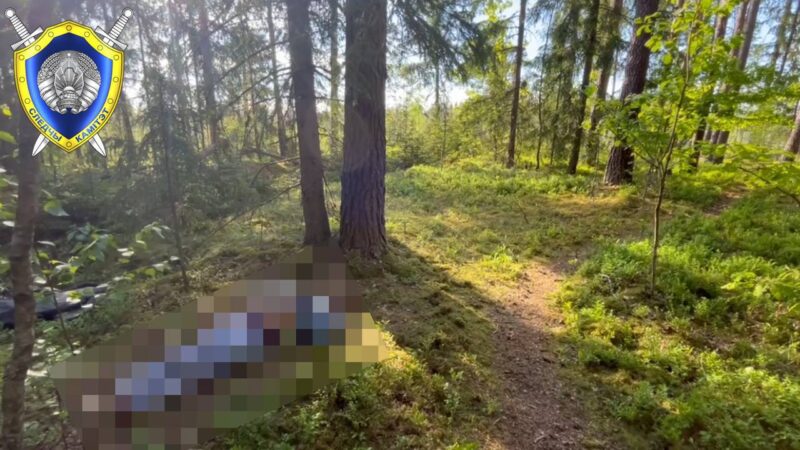 На границе с Латвией