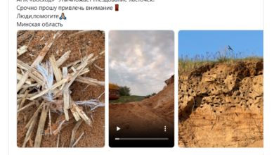 Под Минском