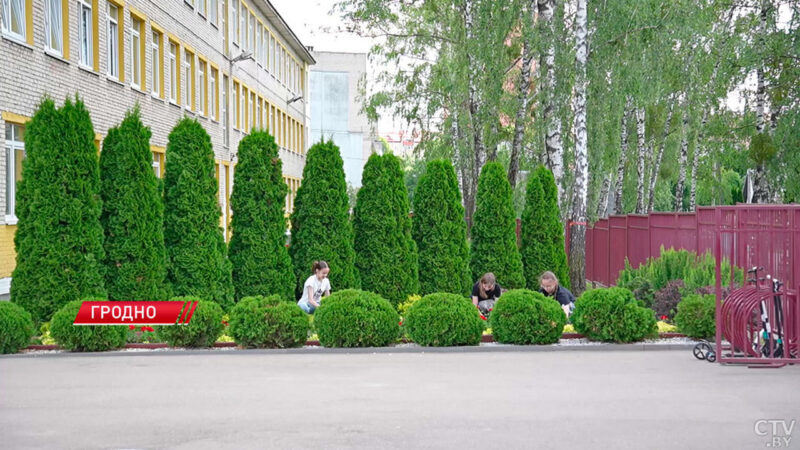 Гродненские школьники могут получить