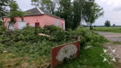 В Гродненской области