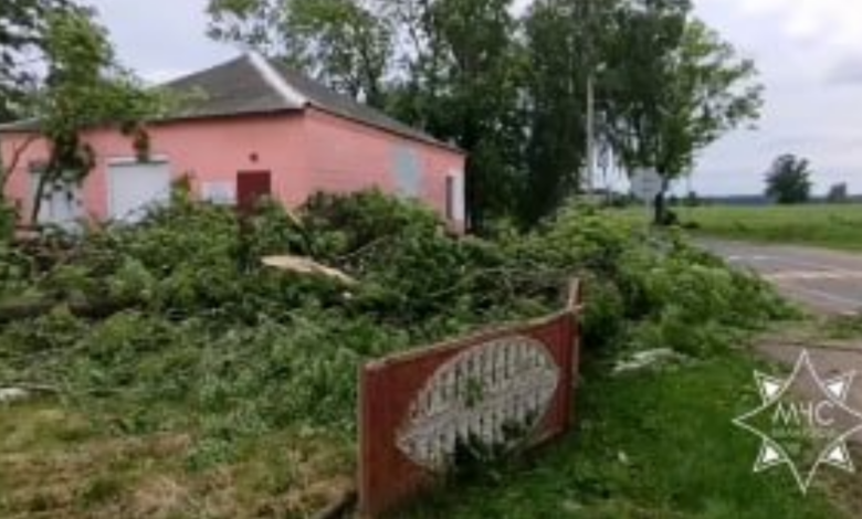 В Гродненской области