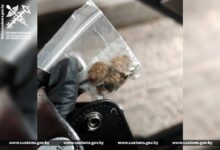 Служебная собака помогла пресечь