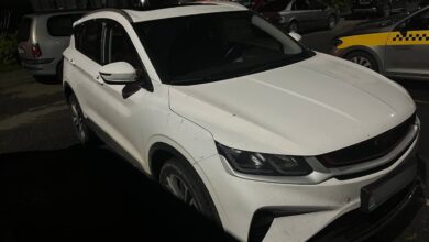 пограничники задержали