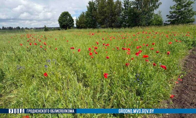 в Гродненской области
