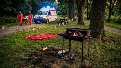 два инцидента на мангалах