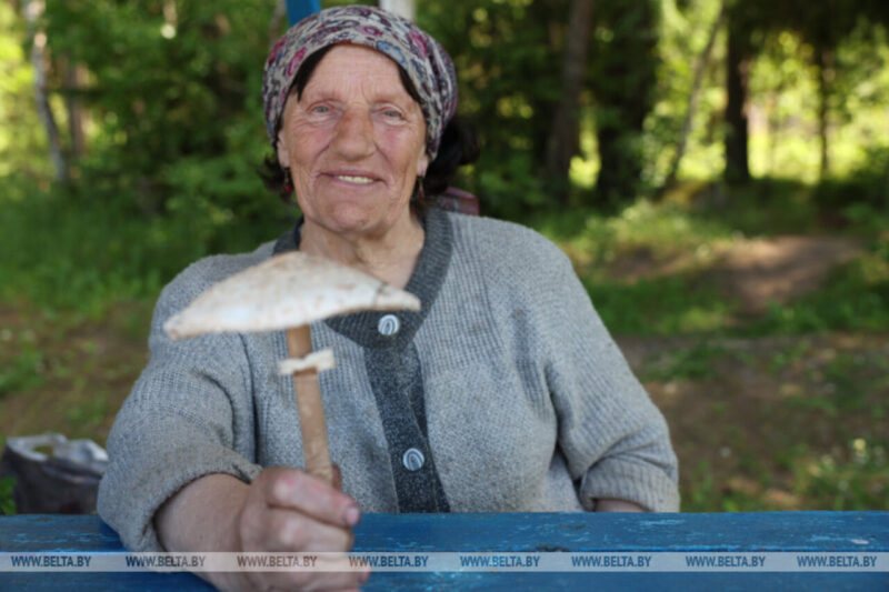 «Три часа на литр земляники»: