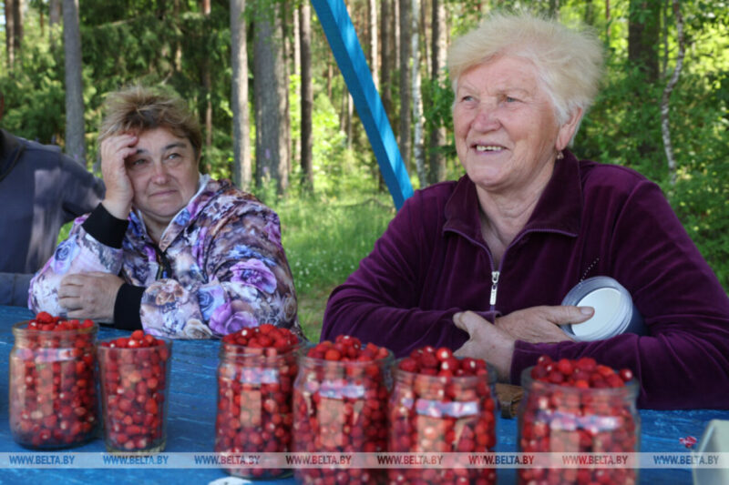 «Три часа на литр земляники»: