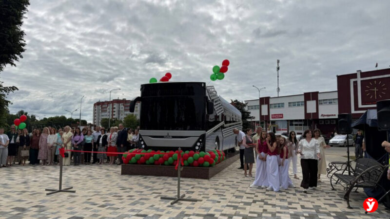В Жодино появился необычный