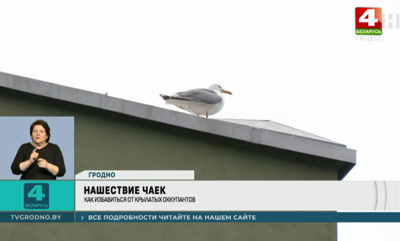 почему