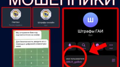 Как фейковые ГАИ-боты