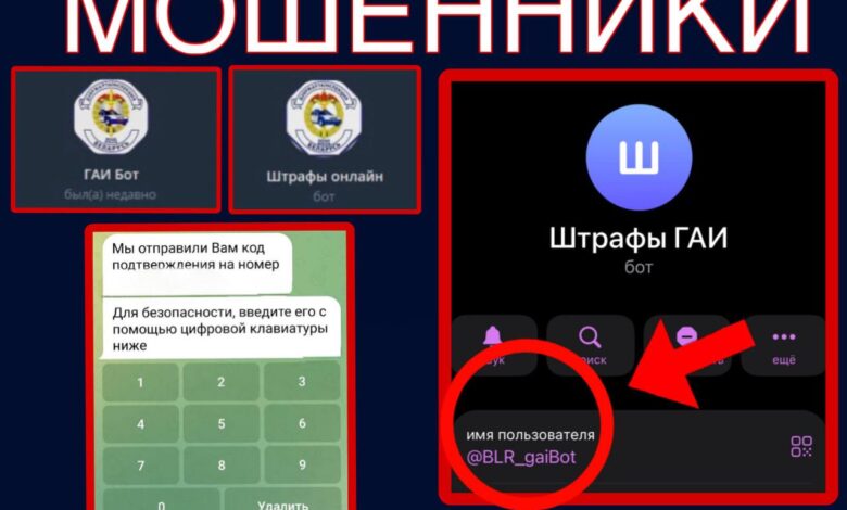 Как фейковые ГАИ-боты