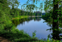 какие заразы