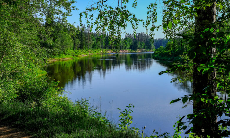 В Беларуси крупные реки