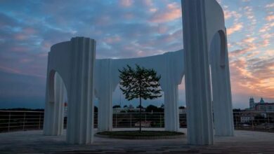 как снимок гродненца стал