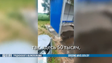 как гродненец «декларировал»
