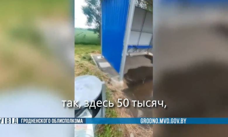 как гродненец «декларировал»