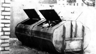В Жлобине через