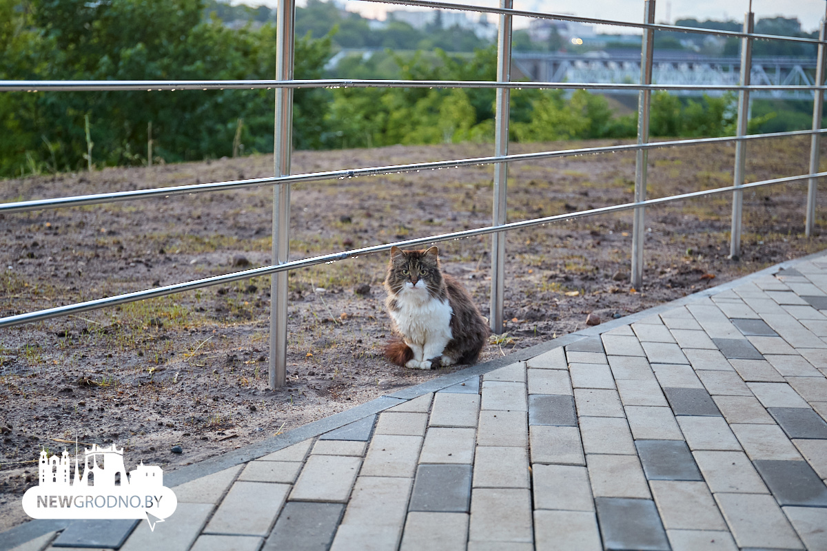 Фотопрогулка по новому скверу в Гродно
